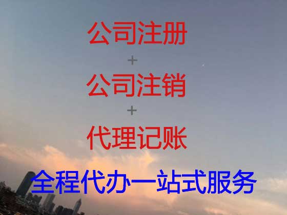 惠州公司个体工商户注册-财务代理记账